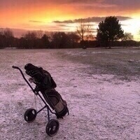 Tiger Tom