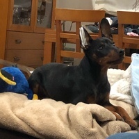 Carla Casabella Puñal