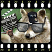 너구리PD 스튜디오