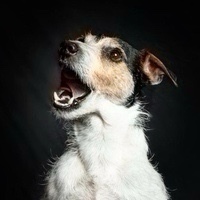 Robert Andreas Patzschke