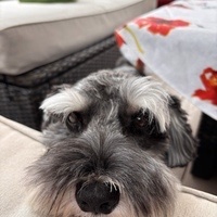 George Miller