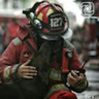 Juan Carlos Dipas Guillena