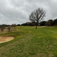 Quico Bernabeu Santos