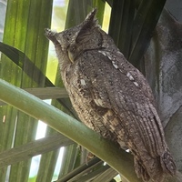 Cath Paton