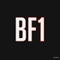 Ignatius Botha Golfer