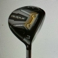 Gerrit van den Esschert