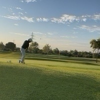 Paulo Golf