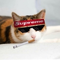 Magnus Cedric Schneider