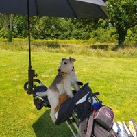 nathalie Gregg-Smith