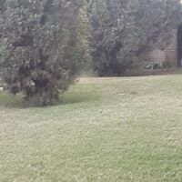 BENJA ⛳🏌‍♂️🏌.