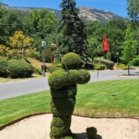 Jose Antonio Morcillo