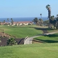 Stefanie Harrer-Lütt