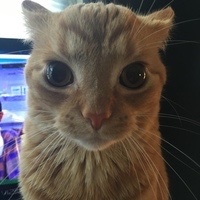 Oliver G