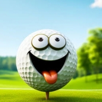 Richardt van der merwe