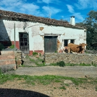 Jose Manuel Romero