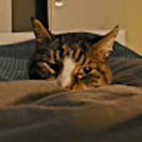 Unnsteinn Logi Eggertsson