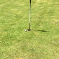 Victor Calviño Sanchez