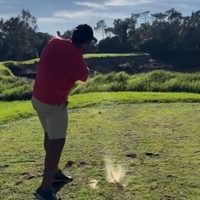 Sebastiao van Zeller