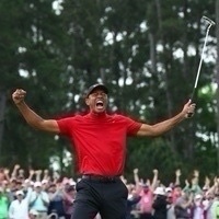 Tiger Shoulds