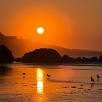 Enrique Viejo-Fluiters Ximénez