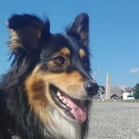 Blaise-Samuel Becker