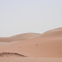 Jean jacques courtois