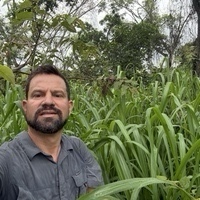 Camilo Borrero