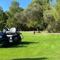 Marta García Curieses