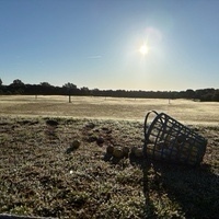 Damian Guerrero Ponce