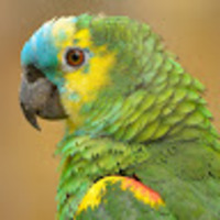 Enoch Aaron Rwagasana