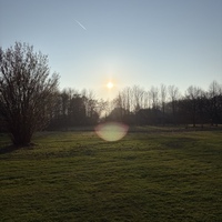Henrike L