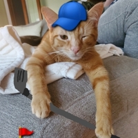 Jonathan Shillington