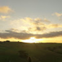 Alasdair Mitchell Ferguson