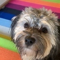 Malin André Engberg