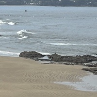 J. Manuel Miguez Gomez