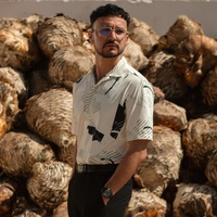 JESUS BORREGO LOYA
