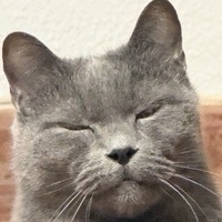 Xavier Segura gimenez