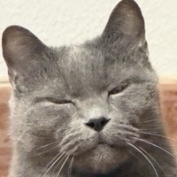 Xavier Segura gimenez