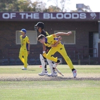 Harrison Wood