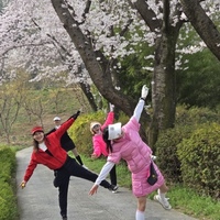 혜영 최
