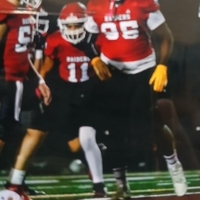 Hatcher Stincer